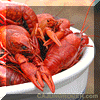 LIVE Crawfish - 40 lbs (SELECT) w/ seasoning