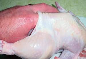 Rotisserie Chicken
