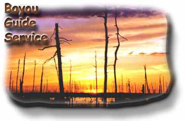 Bayou Guide Service