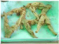 Frog Legs