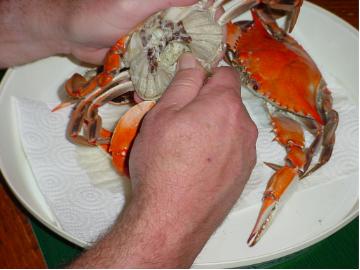 Peeling Crabs