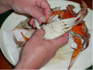 Peeling Crabs