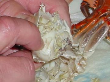 Peeling Crabs