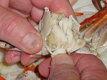 Peeling Crabs