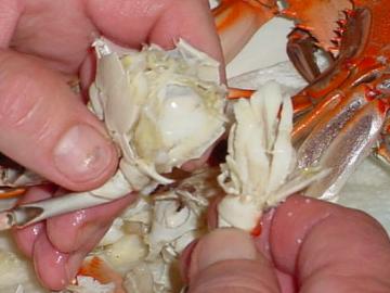 Peeling Crabs