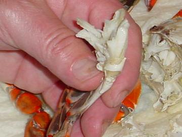 Peeling Crabs